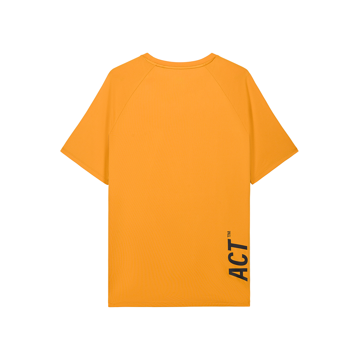 ACT-TSH-011-2.png