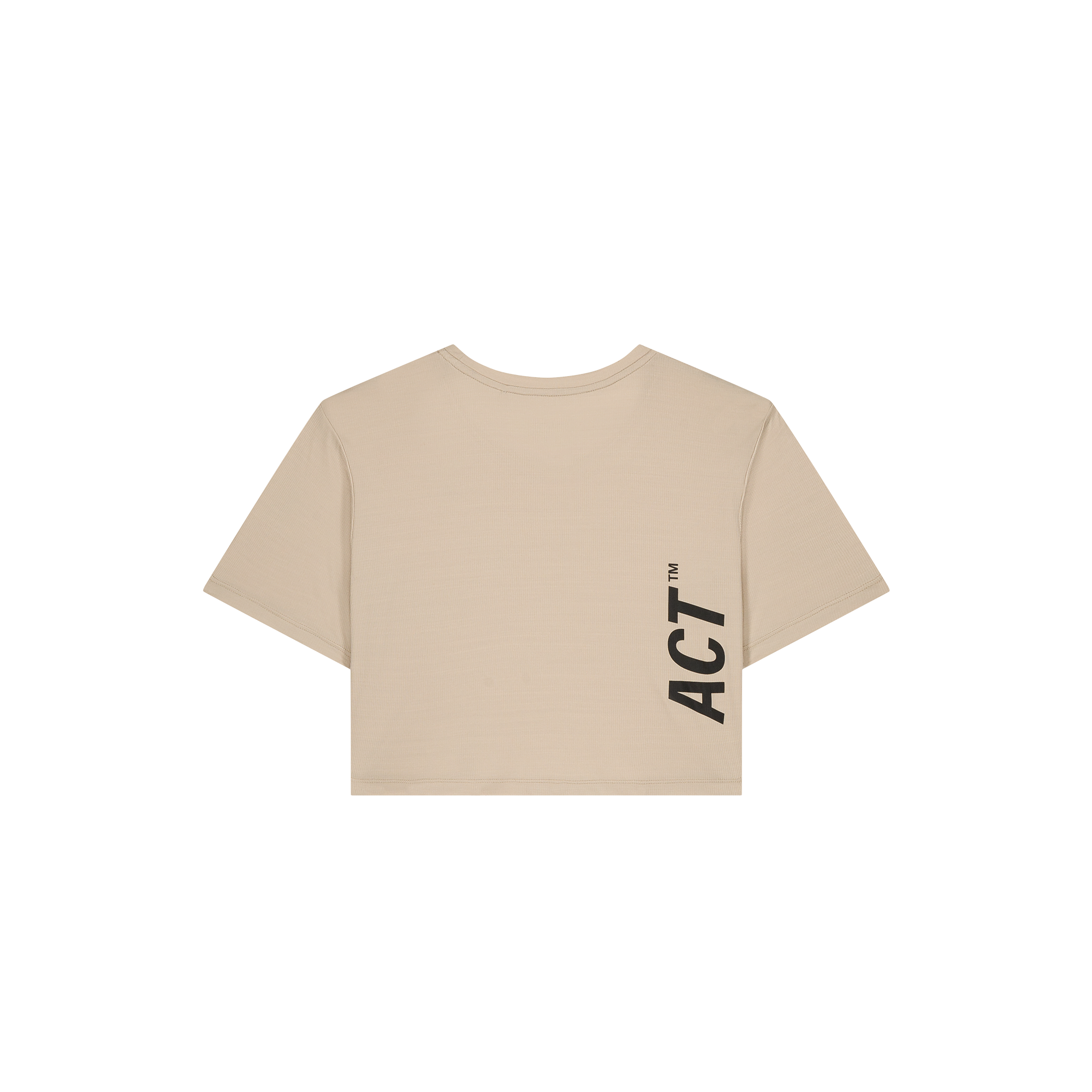 TS2-2_6803b490-06e6-4a5e-a551-42a583edd6c0.png